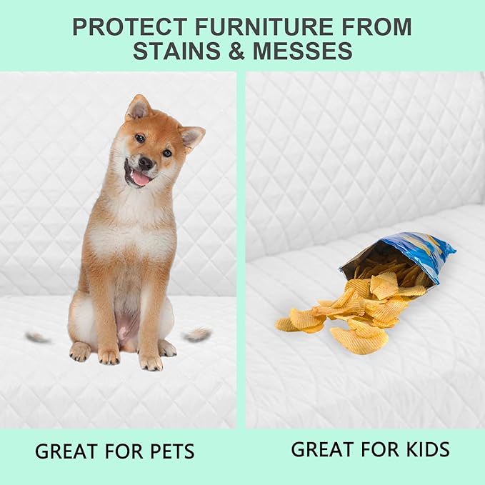 Recliner Chair Covers Reversible Sofa Cover Couch Cover for Pets Lazy Boy Furniture Protector(23''Chair,White/White)