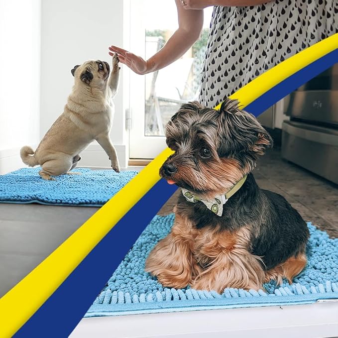 Muddy Mat® | Super Absorbent Door Mat Indoor, Microfiber Quick Dry Chenille Entryway Rug, Non-Slip Front Door Mat, Indoor Mats for Entryway, Machine Washable Pet Rug, Sky Blue 18"x28"