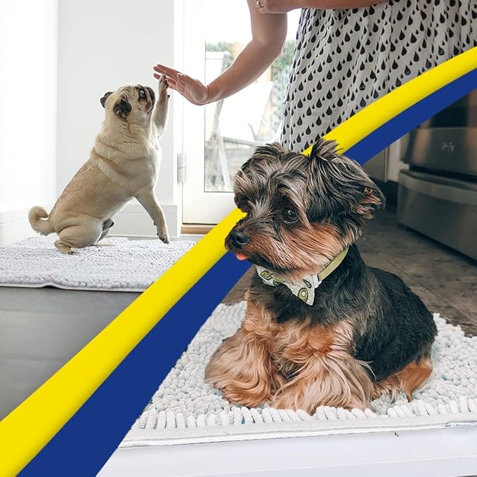 Muddy Mat® | Super Absorbent Door Mat Indoor, Microfiber Quick Dry Chenille Entryway Rug, Non-Slip Front Door Mat, Indoor Mats for Entryway, Machine Washable Pet Rug, White 48"x60"
