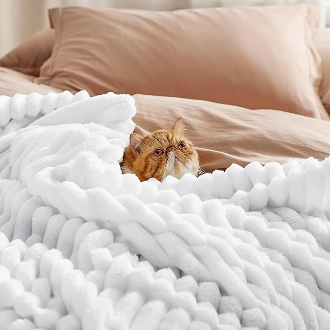 Bedsure GentleSoft White California King Size Blanket for Couch - Cozy Soft Blankets for Women, Cute Small Fleece Throws for Girls, Birthday Gifts for Women, Bright White, 102x96 Inches