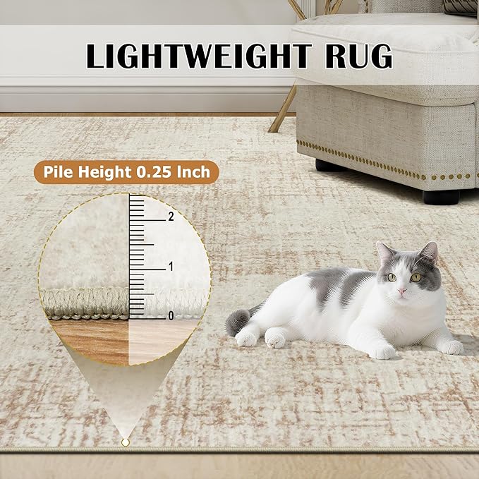 5x8 Area Rugs for Living Room Washable Rug: Anti-Skid Abstract Modern Living Room Rug Soft Thin Carpets Indoor Floor Non-Shedding Carpet for Bedroom Dining Farmhouse Nursery Beige White