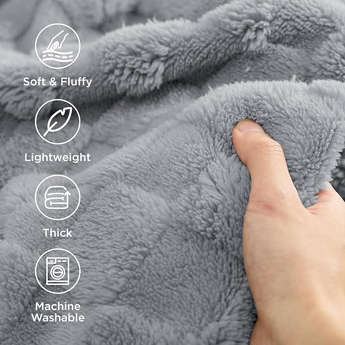 Bedsure GentleSoft Twin Blanket for Bed Silver Grey - Super Soft Cozy Blankets for Kids Girls, Cute Fuzzy Fleece Throws for Bedroom Couch, 60x80 Inches