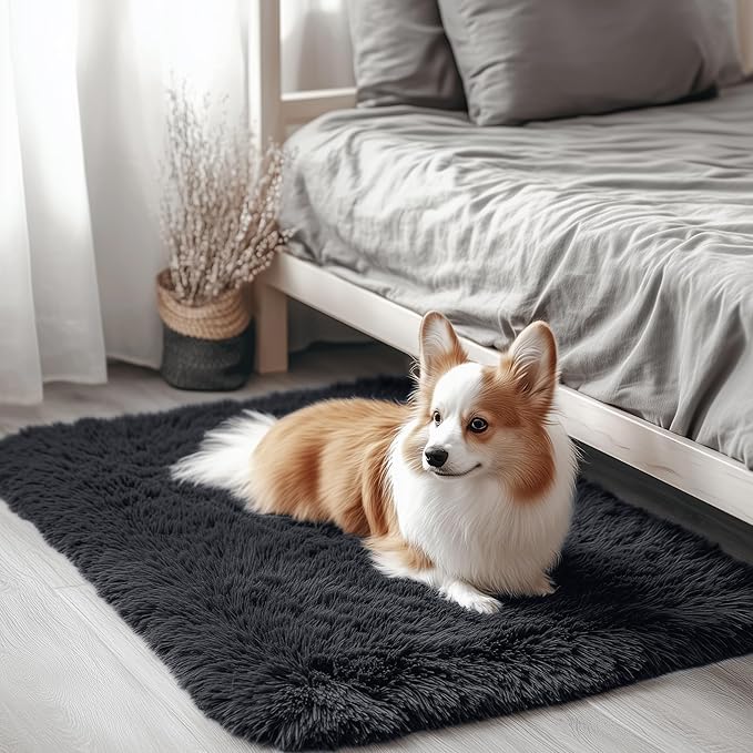 OLANLY 2x2 Machine Washable Small Rug, Soft Fluffy Shaggy Throw Rug for Bedroom, Entryway, Indoor Floor Carpet for Kids, Nursery, Home Decor, Black