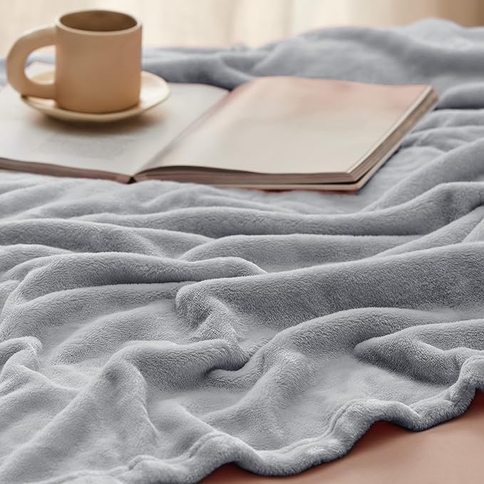Bedsure GentleSoft Fleece Blanket Twin Size Light Grey - 300GSM Lightweight Plush Fuzzy Cozy Soft Warm Blanket for Bed, Sofa, Couch, Travel, Camping, 60x80 inches