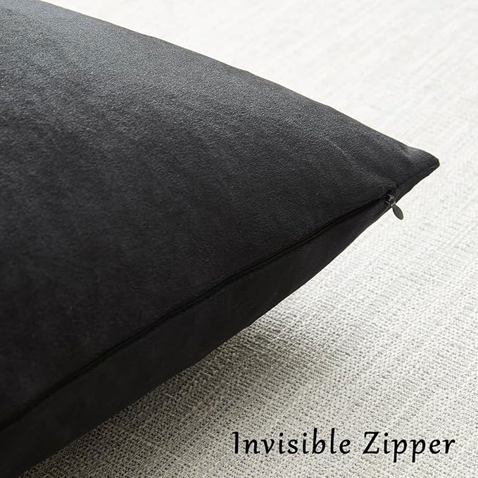 GIGIZAZA Black Velvet Pillow Covers 12x20,Decorative Lumbar Throw Pillows Modern Covers Small Solid Living Room Pillow Cases for Couch Pack of 2