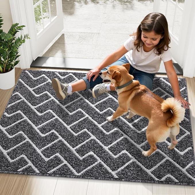 OLANLY Front Door Mat, Non-Slip Rubber Backing, Dirt Resistant and Absorbent, Washable, Easy to Clean Low-Profile Indoor Doormat for Back Door, Entryway, Inside Entrance, 40x32, Black