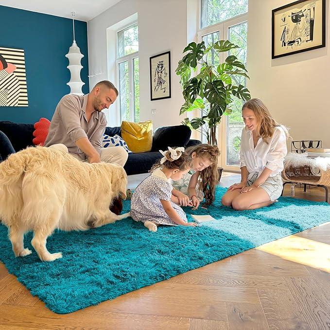 OLANLY 3x5 Machine Washable Small Bedside Rug, Soft Fluffy Shaggy Rugs for Living Room, Bedroom, Indoor Floor Carpet for Kids Girls and Boys, Preppy Dorms, Nursery, Home Decor Aesthetic, Teal
