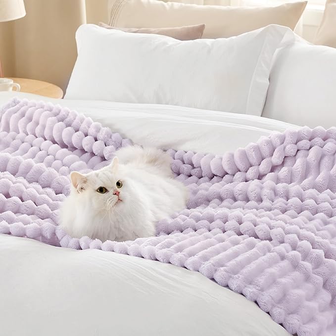 Bedsure GentleSoft Lavender Fog Fleece Blanket for Couch - Cozy Soft Blankets for Women, Cute Small Throws for Girls, 50x60 Inches