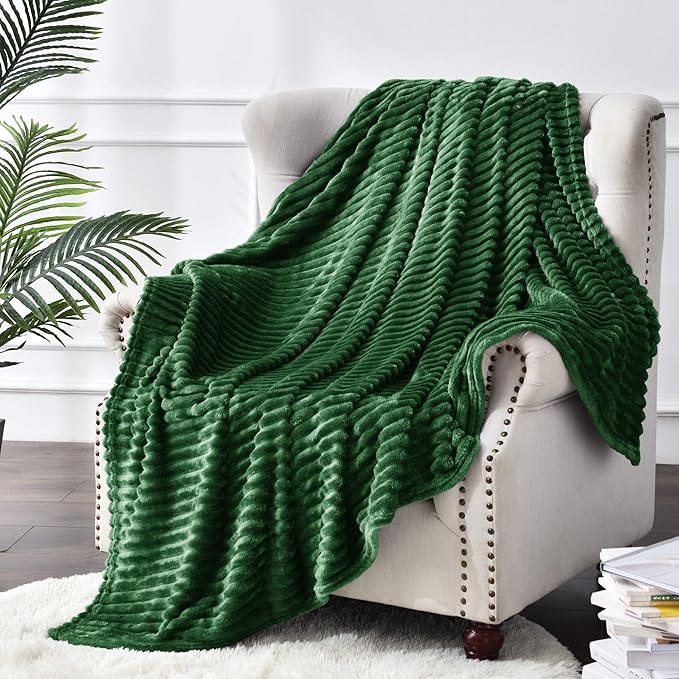 BEDELITE Fleece Throw Blanket for Couch – 3D Ribbed Jacquard Soft and Warm Decorative Fuzzy Blanket – Cozy, Fluffy, Plush Lightweight Green Throw Blankets for Bed, Sofa, 50x60 inches