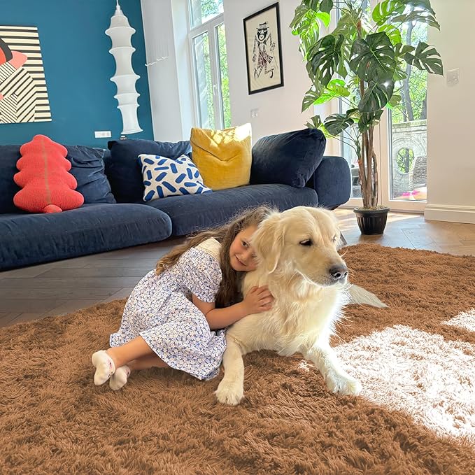 OLANLY 3x5 Machine Washable Small Bedside Rug, Soft Fluffy Shaggy Rugs for Living Room, Bedroom, Indoor Floor Carpet for Kids Girls and Boys, Preppy Dorms, Nursery, Home Decor Aesthetic, Khaki