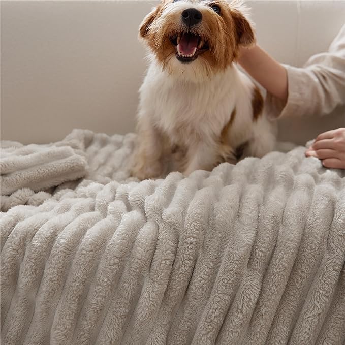 Bedsure GentleSoft Throw Blanket for Couch - Cozy Soft Blankets for Women, Cute Small Fleece Throws for Girls, Beige, 50x70 Inches