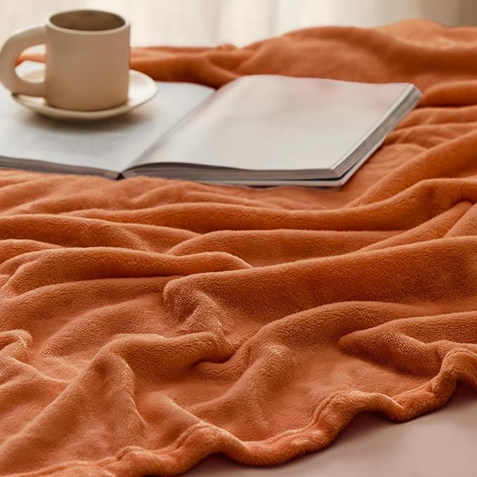 Bedsure GentleSoft Fleece Blankets Queen Size - 280GSM Soft Lightweight Plush Cozy Blanket for Bed, Sofa, Couch, Travel, Camping