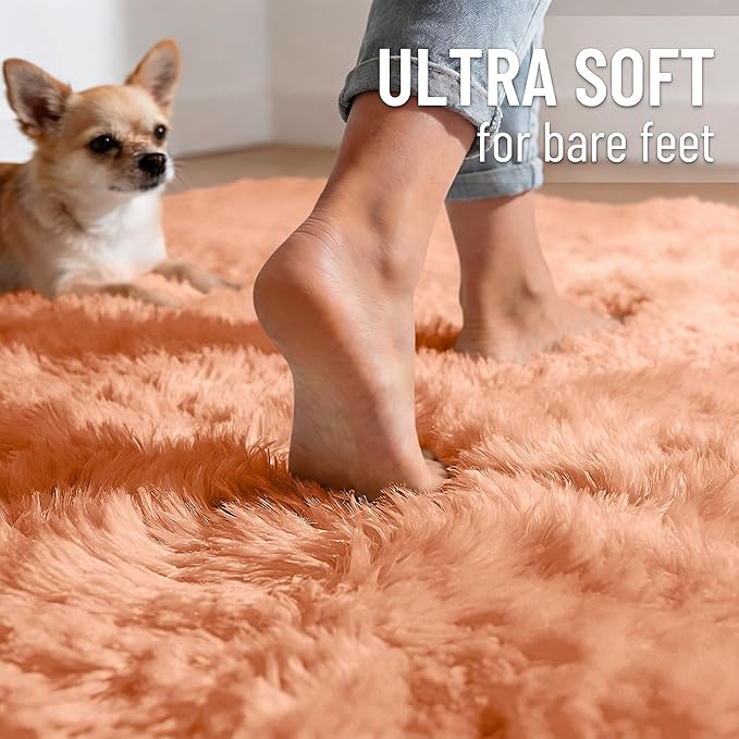 OLANLY 5x8 Machine Washable Large Area Rugs for Living Room, Bedroom, Soft Fluffy Shaggy Bedside Rug, Indoor Floor Carpet for Kids Girls and Boys, Dorms, Nursery, Home Decor Aesthetic, Muted Orange