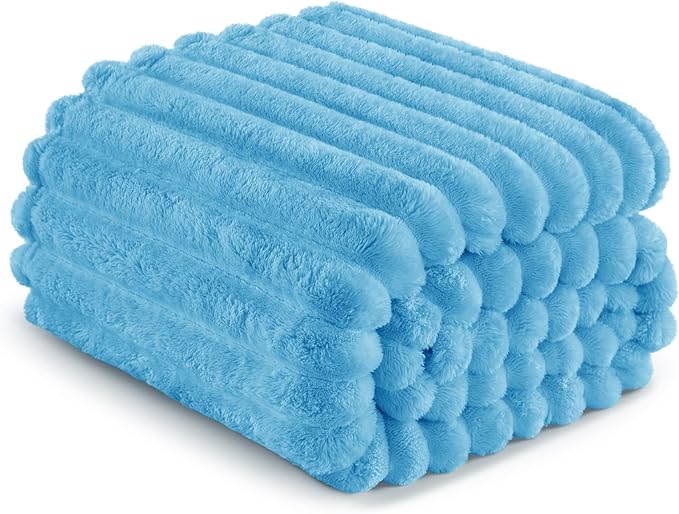 Exclusivo Mezcla Twin Size Flannel Fleece Blanket, Super Soft Striped Jacquard Bed Blanket, Lightweight Fuzzy Cozy for All Seasons, 60x80 Inches, Blue