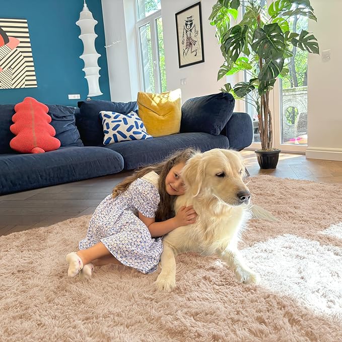 OLANLY 5x7 Machine Washable Large Area Rugs for Living Room, Bedroom, Soft Fluffy Shaggy Bedside Rug, Indoor Floor Carpet for Kids Girls and Boys, Dorms, Nursery, Home Decor Aesthetic, Beige
