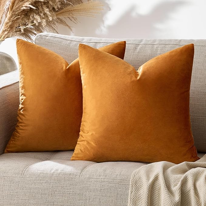 GIGIZAZA Decorative Throw Pillow Covers for Sofa,Cinnamon Burnt Orange Velvet Bed 2 Pack Soft Cushion Cover