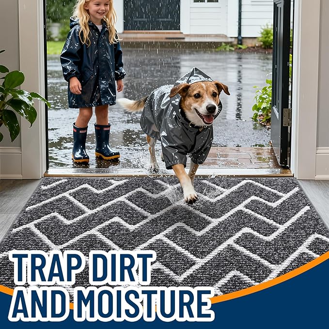 OLANLY Front Door Mat, Non-Slip Rubber Backing, Dirt Resistant and Absorbent, Washable, Easy to Clean Low-Profile Indoor Doormat for Back Door, Entryway, Inside Entrance, 48x32, Black
