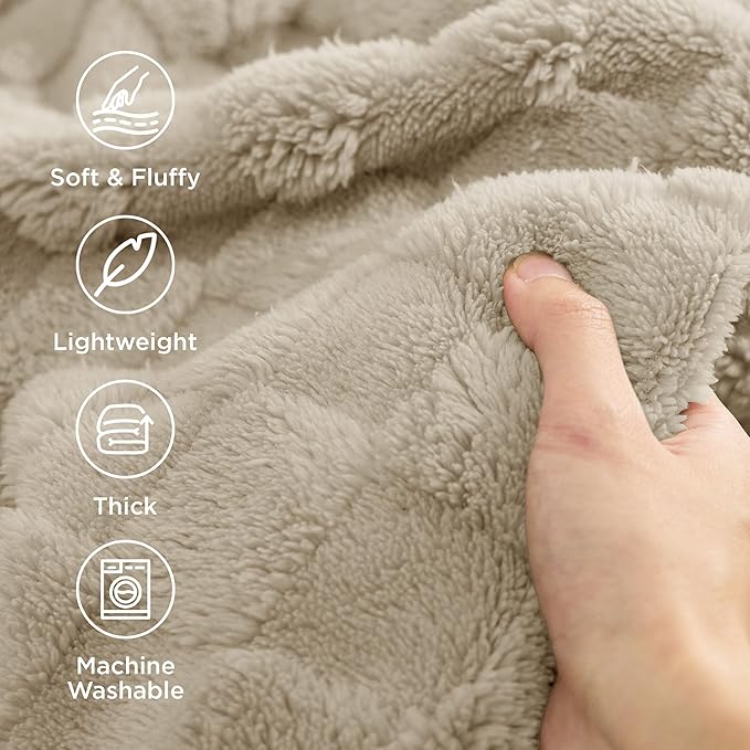 Bedsure GentleSoft Blankets Queen Size for Bed - Super Soft Cozy Blanket for Kids Girls, Large Fuzzy Fleece Throw for Bedroom Decor, Neutral, 90x90 Inches