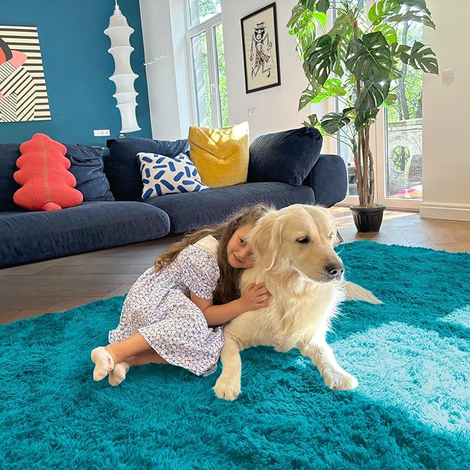 OLANLY 2x3 Machine Washable Small Bedside Rug, Soft Fluffy Shaggy Entryway Throw Rugs for Bedroom, Living Room, Indoor Floor Carpet for Kids Girls and Boys, Nursery Rooms, Home Decor Aesthetic, Teal