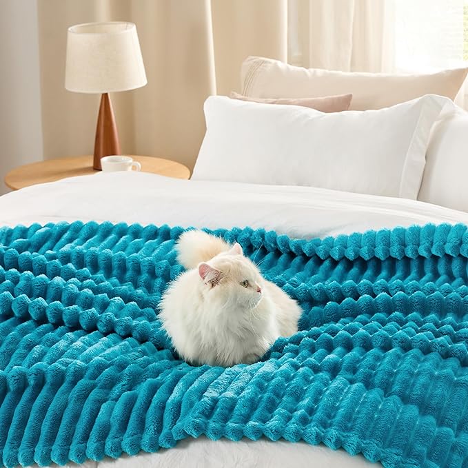 Bedsure GentleSoft Teal Twin Blanket for Bed - Cozy Soft Blankets for Women, Cute Large Throws for Girls, 66x90 Inches