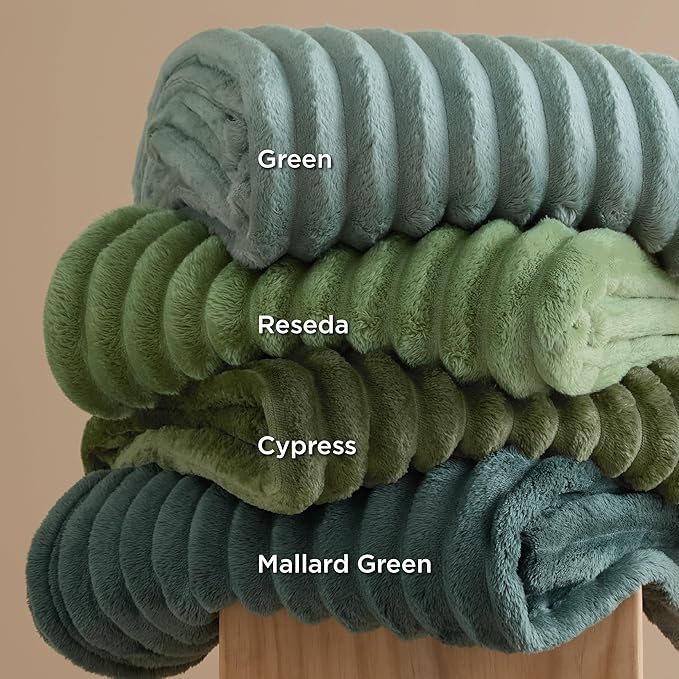 Bedsure GentleSoft Blankets Queen Size for Bed - Cozy Soft Blankets for Women, Cute Large Fleece Throws for Girls, Sage Green, 90x90 Inches