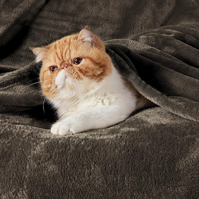 Bedsure GentleSoft Brown Fleece Blankets King Size - Bed Blanket Soft Lightweight Plush Cozy Fuzzy Luxury Microfiber, 108x90 inches